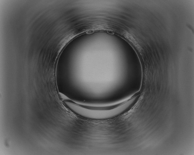 X0000097891089200803281240