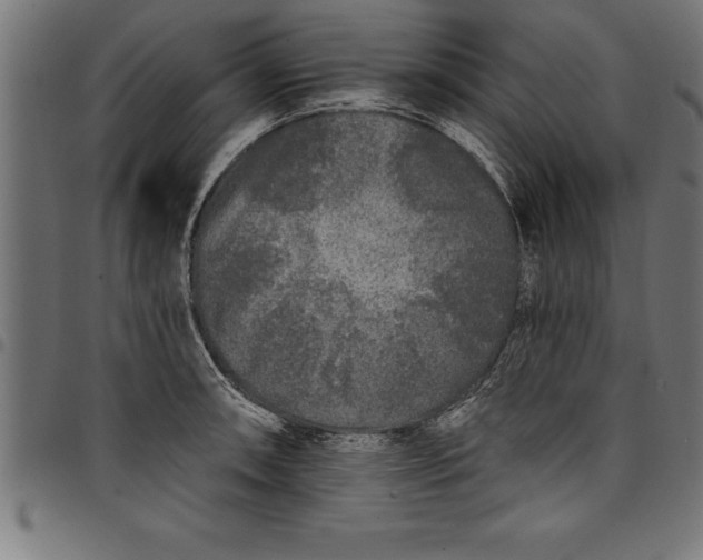 X0000097891090200803281240