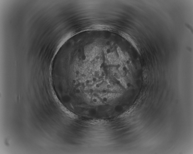 X0000097891091200803281240