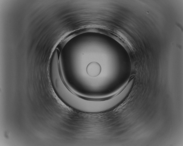 X0000097891092200803281240