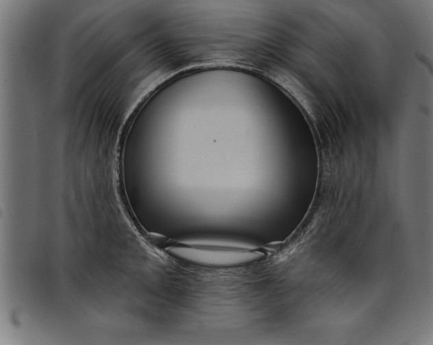 X0000097891093200803281240