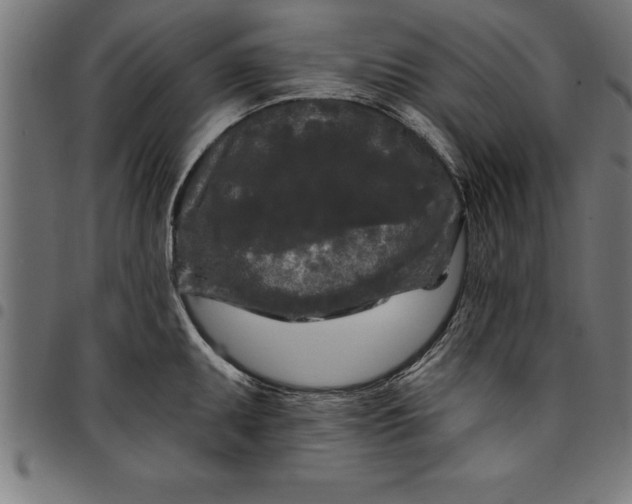 X0000097891095200803281240