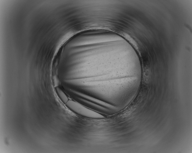 X0000097891096200803281240