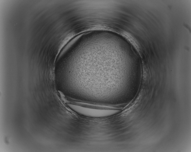 X0000097891097200803281240