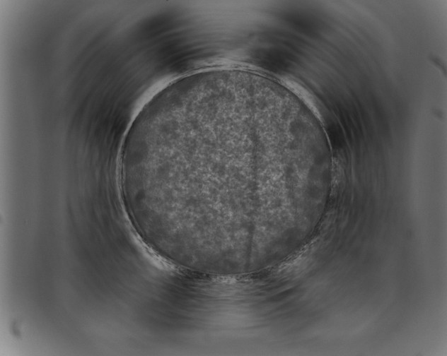 X0000097891098200803281240