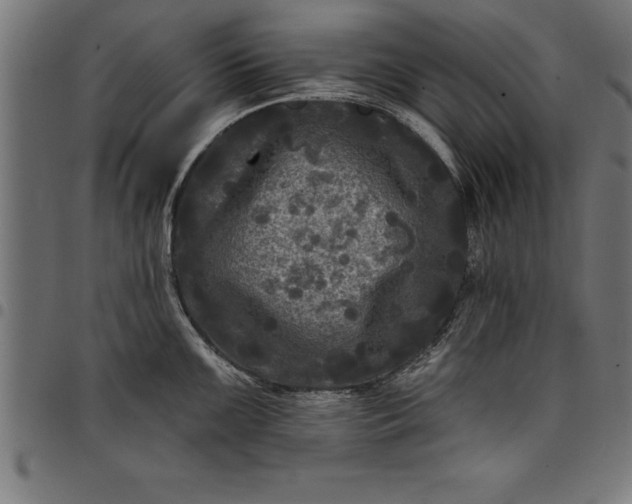 X0000097891099200803281240