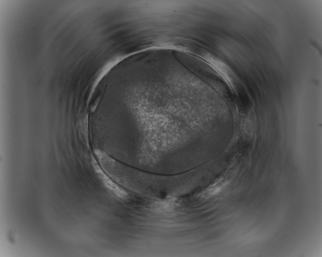 X0000097891100200803281240