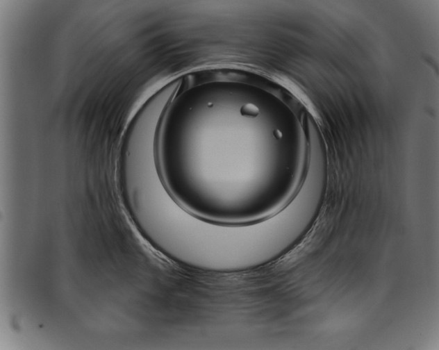 X0000097891101200803281240