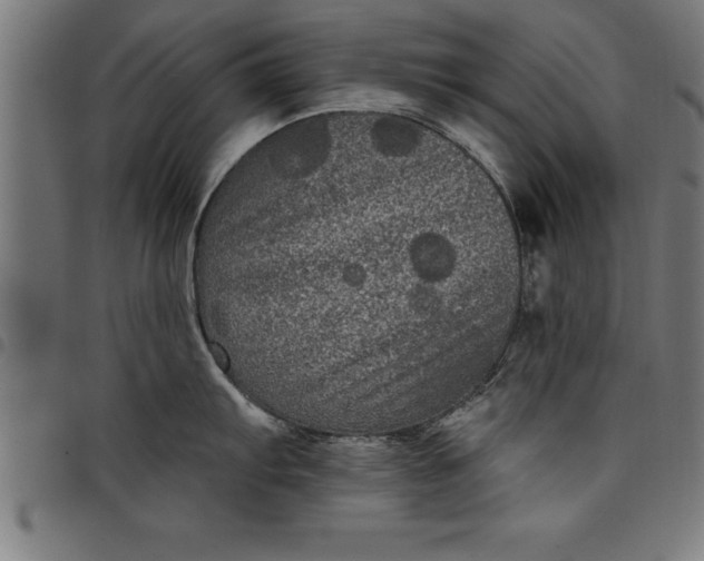 X0000097891103200803281240