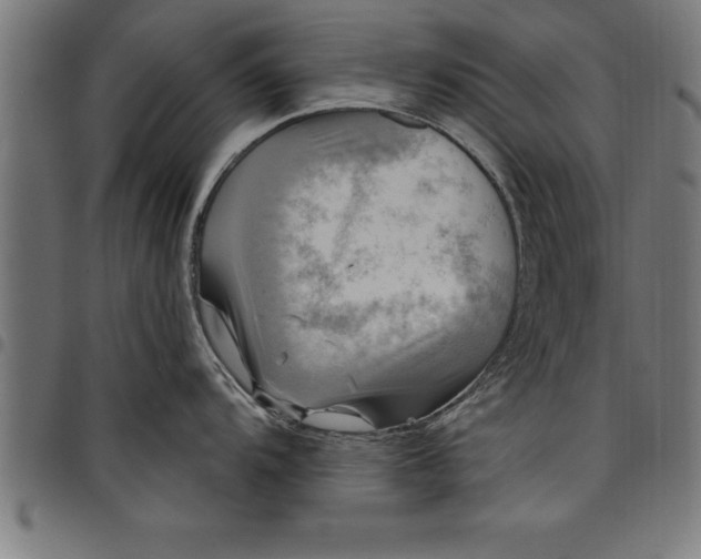 X0000097891104200803281240