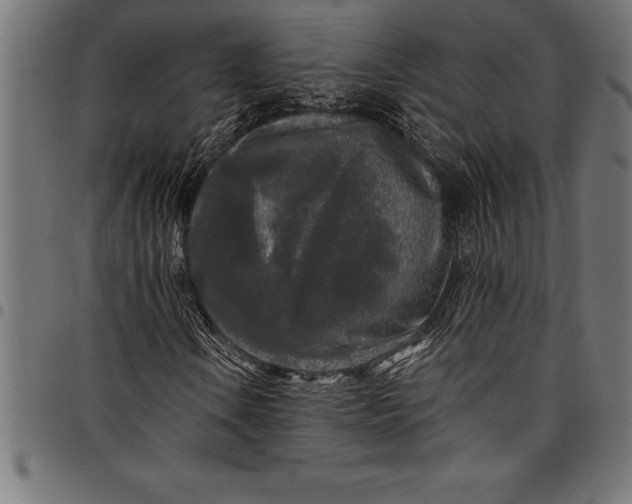 X0000097891106200803281239