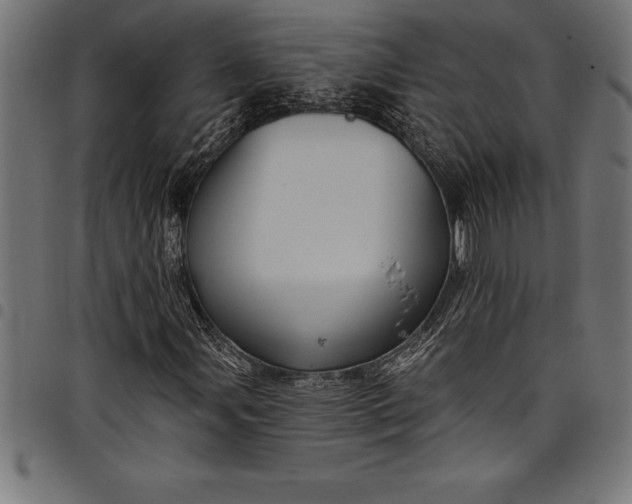 X0000097891107200803281239