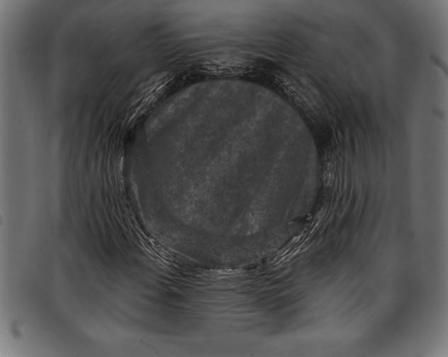 X0000097891108200803281239