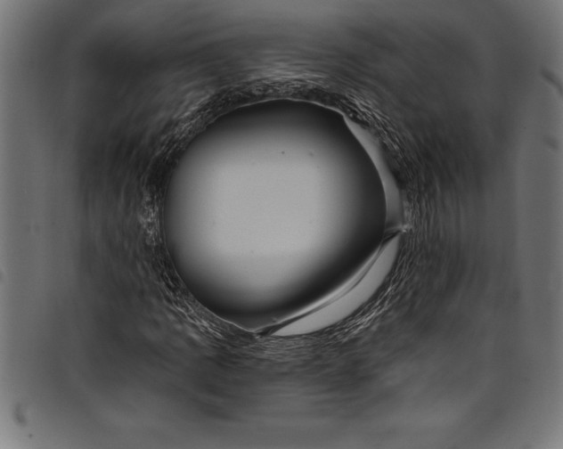 X0000097891109200803281239