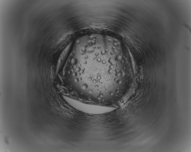 X0000097891110200803281239