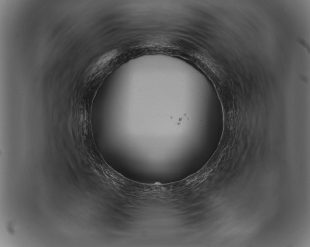 X0000097891111200803281239