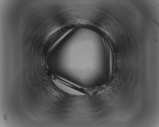 X0000097891112200803281239