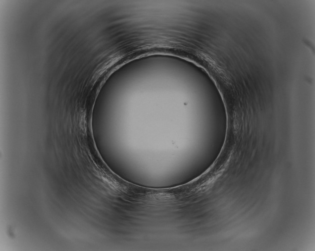 X0000097891113200803281239