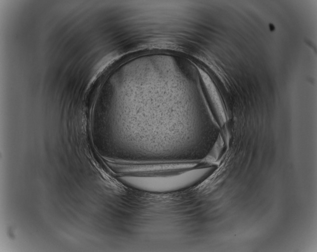 X0000097891115200803281239