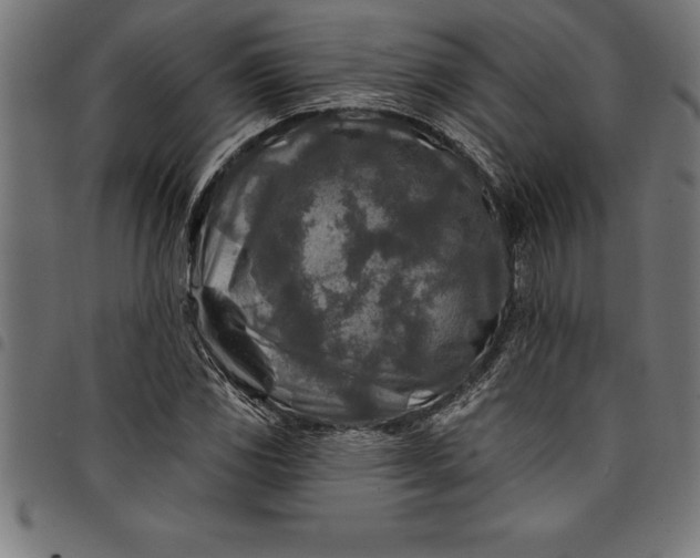 X0000097891117200803281239