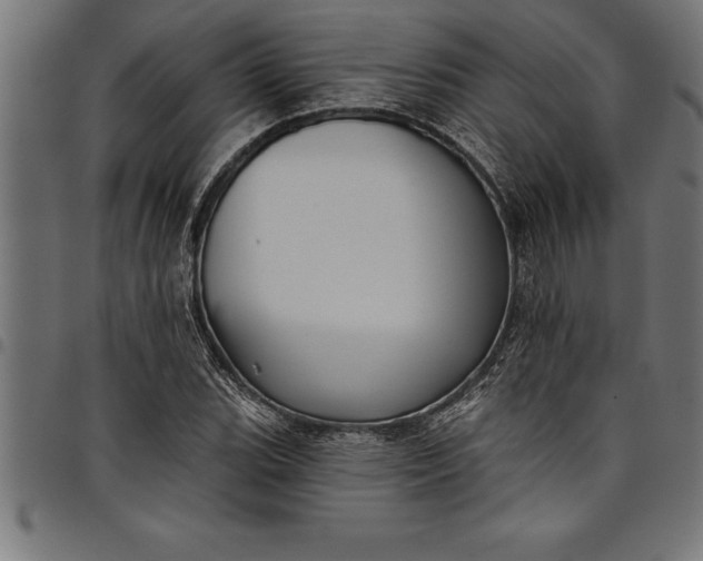 X0000097891119200803281240