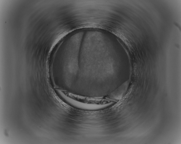 X0000097891120200803281240