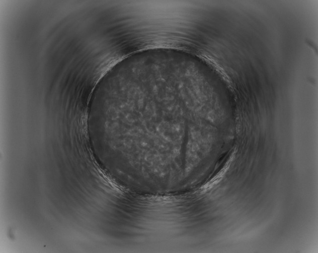 X0000097891121200803281240