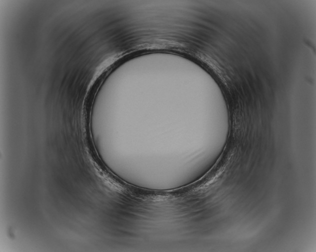 X0000097891122200803281240