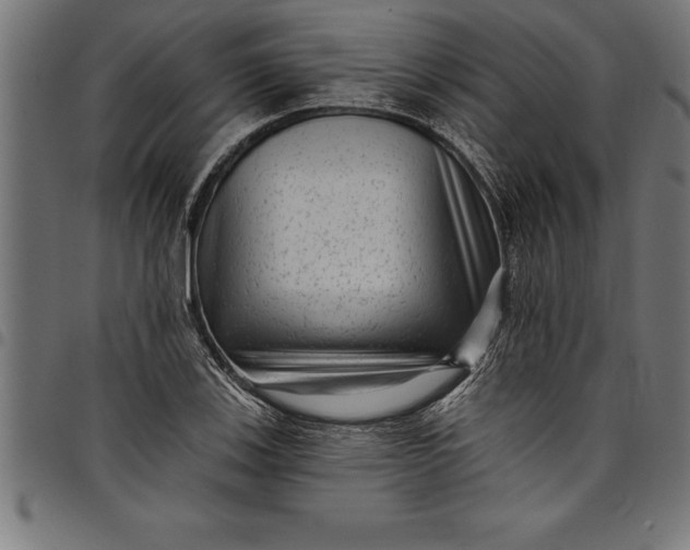 X0000097891123200803281240