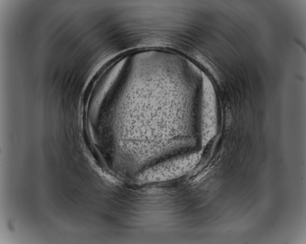 X0000097891124200803281240