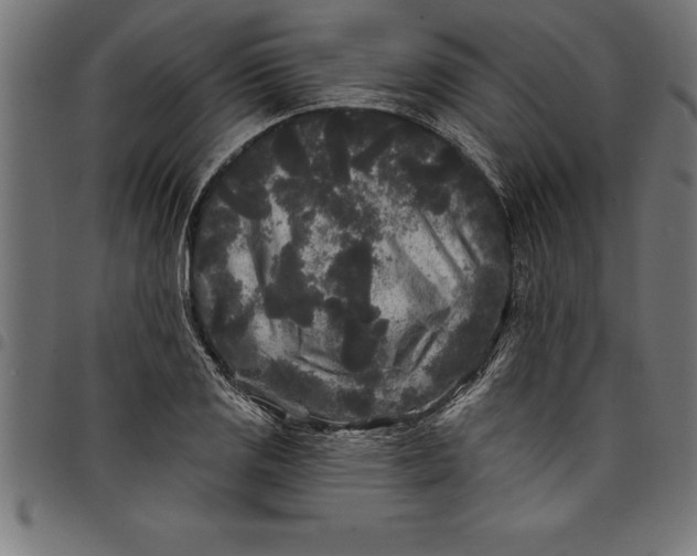 X0000097891125200803281240