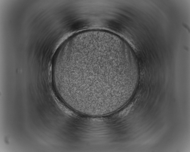 X0000097891126200803281240