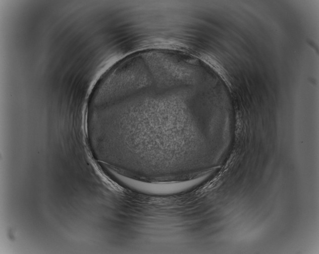 X0000097891128200803281240