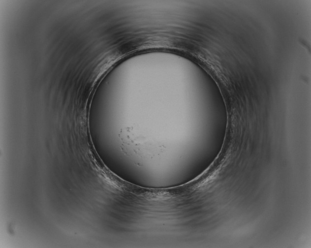 X0000097891129200803281240