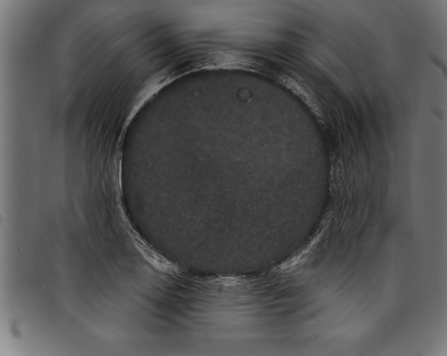 X0000097891130200803281240