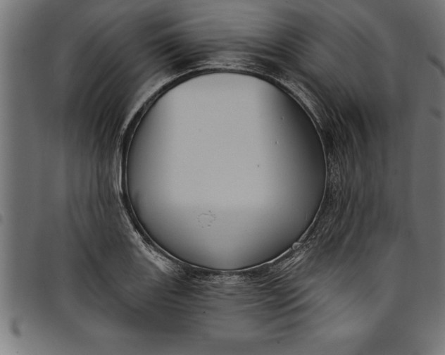 X0000097891131200803281240