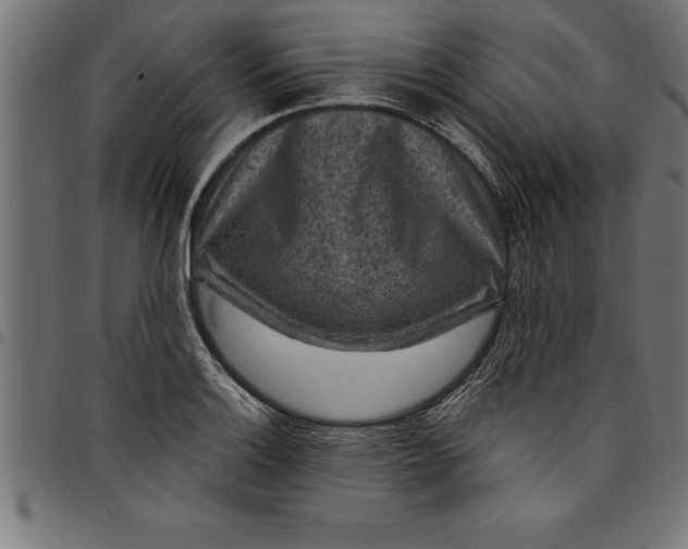 X0000097891132200803281240