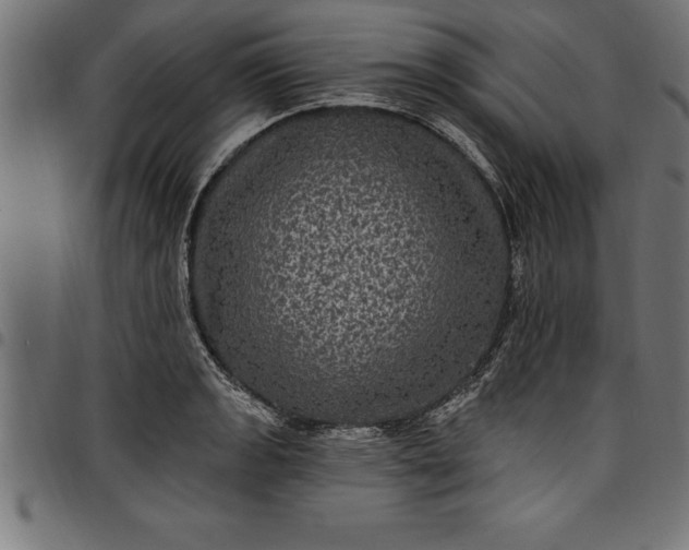 X0000097891133200803281240