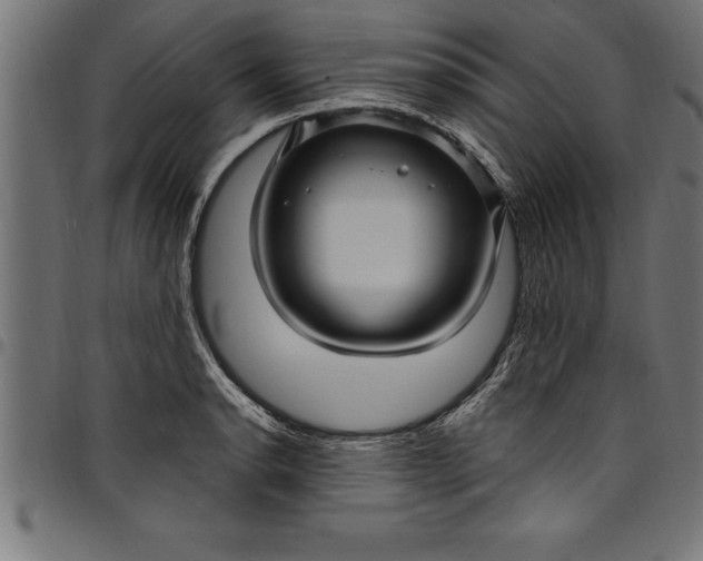 X0000097891134200803281240