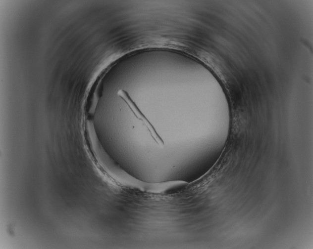 X0000097891136200803281240