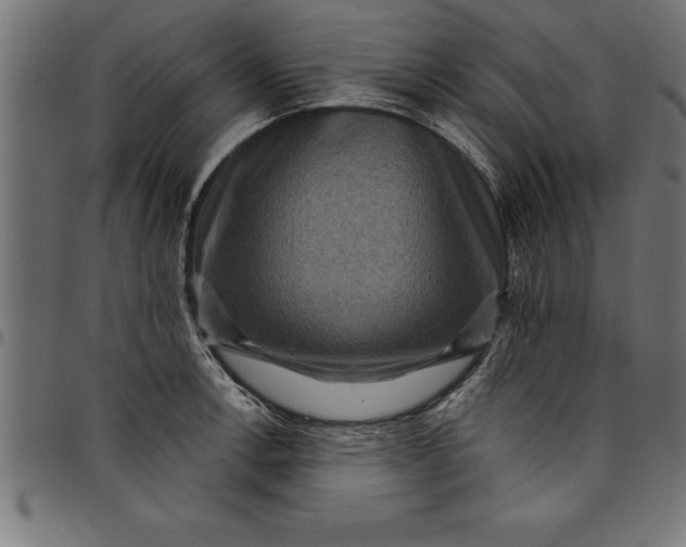 X0000097891138200803281240