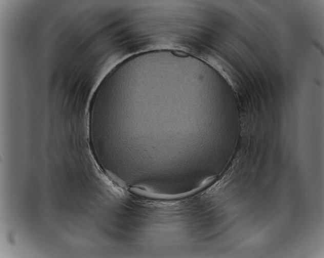 X0000097891140200803281240