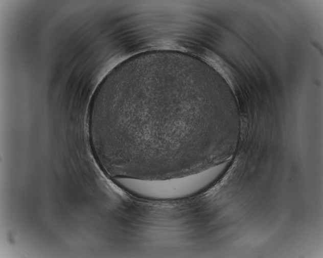 X0000097891141200803281240