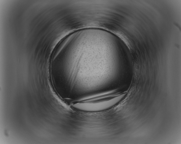 X0000097891142200803281240