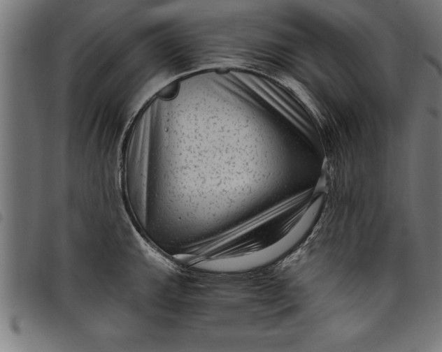 X0000097891143200803281240