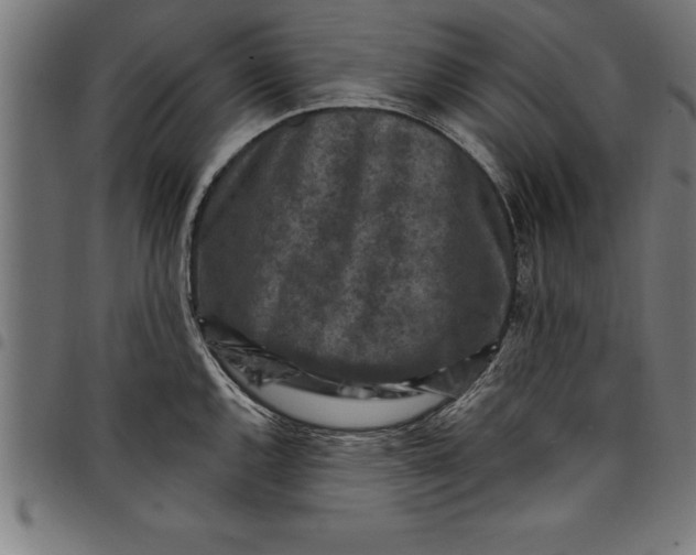 X0000097891144200803281240