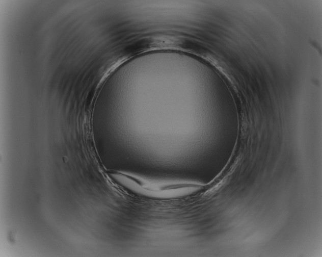 X0000097891145200803281240