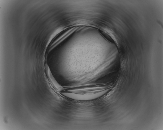 X0000097891146200803281240