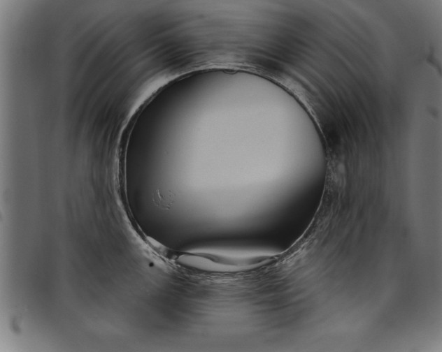 X0000097891147200803281240