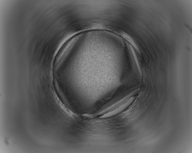 X0000097891148200803281240